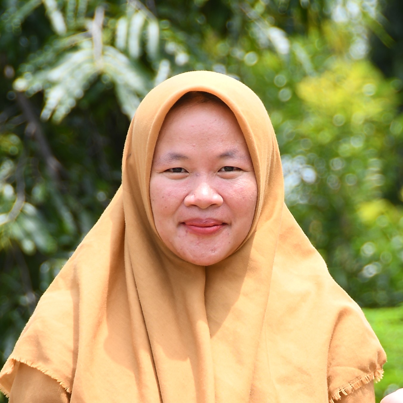 Gambar 17